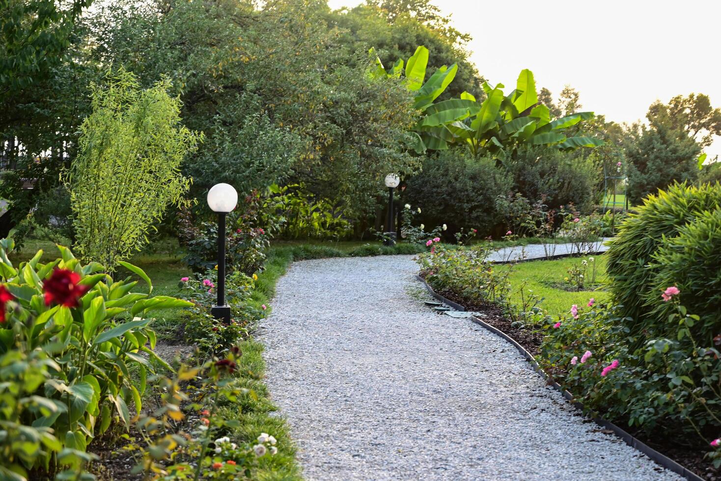 Landscape design On a wonderful day in green garden, panoramic view of nice landscaped yard of residential house. Paving path, plants and vintage lantern in home backyard photo
