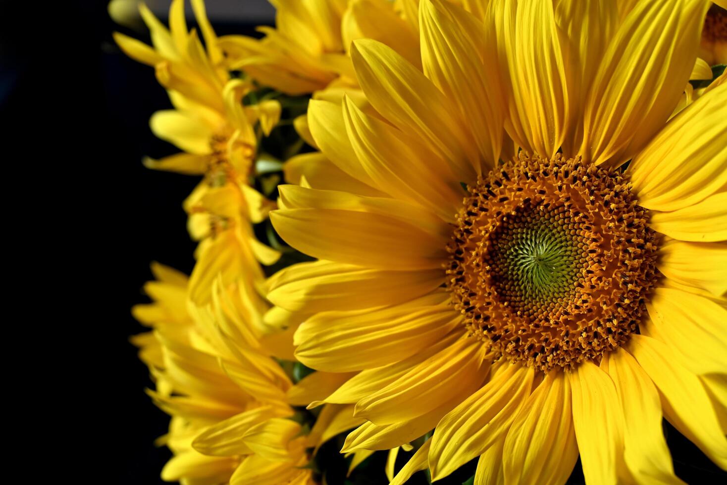 Bouquet of sunflowers in a jug. photo