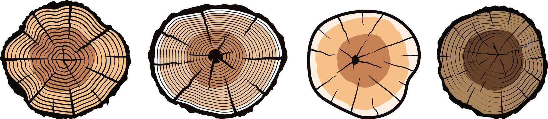 collection of wooden logos with various and modern shapes vector