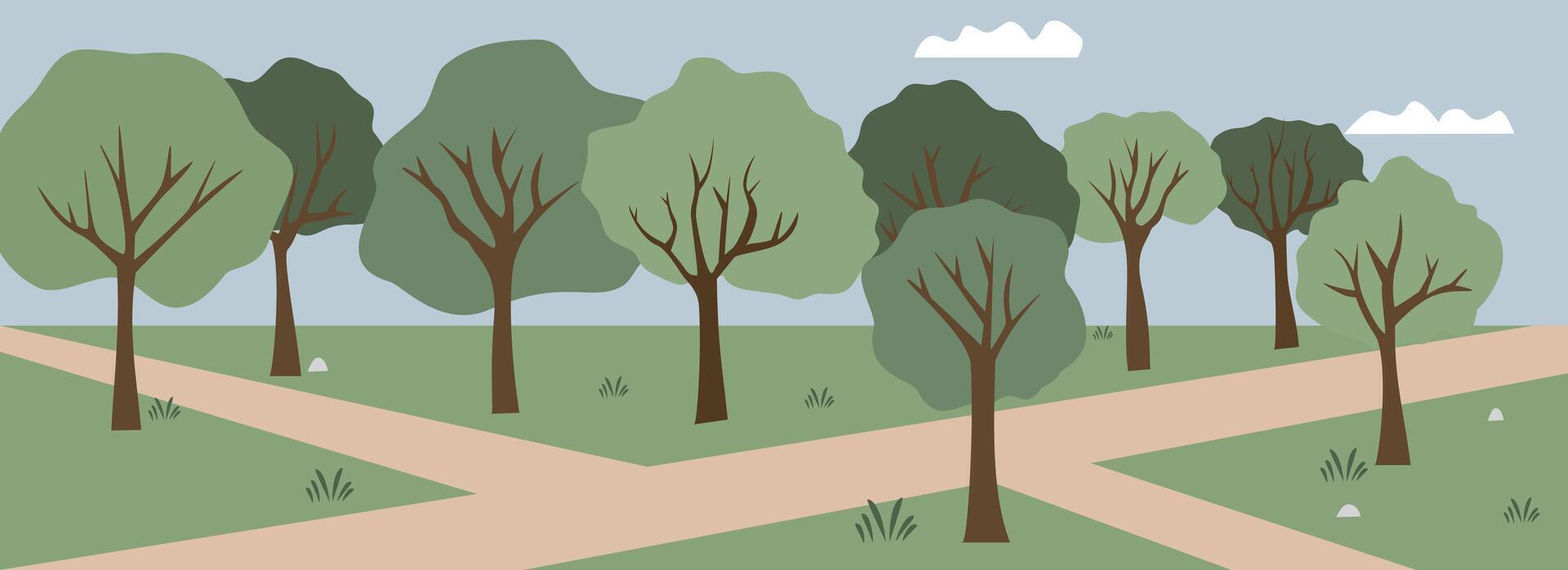 Tropical forest. Forest path. Countryside path illustration. Jungle illustration. Grass. Park illustration. Trees. Children book background. Spring. Summer. vector