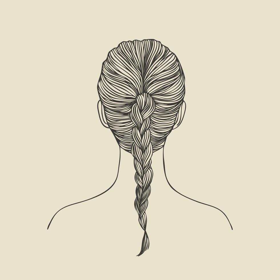 line illustration of a womans braided hairstyle, intricate yet simple, flat and clean lines, on a white background vector
