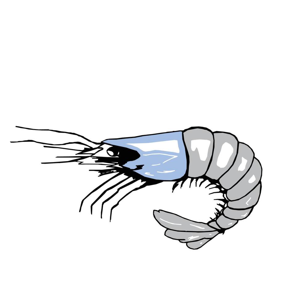 Shrimp Creative abstract illustration of shiri vector