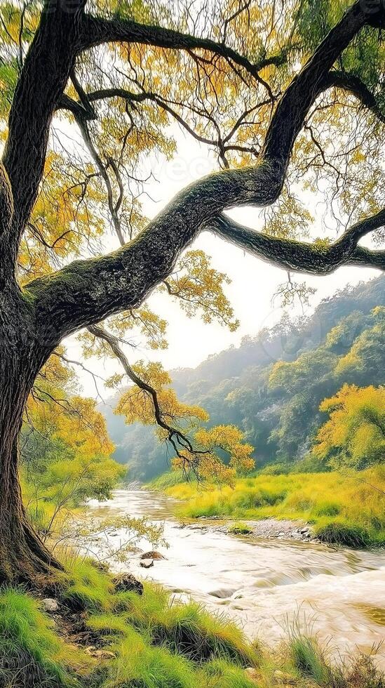 Whispering Branches Over the Stream. A serene scene featuring a gracefully arching tree with golden leaves framing a gentle stream flowing through a lush, green valley. photo