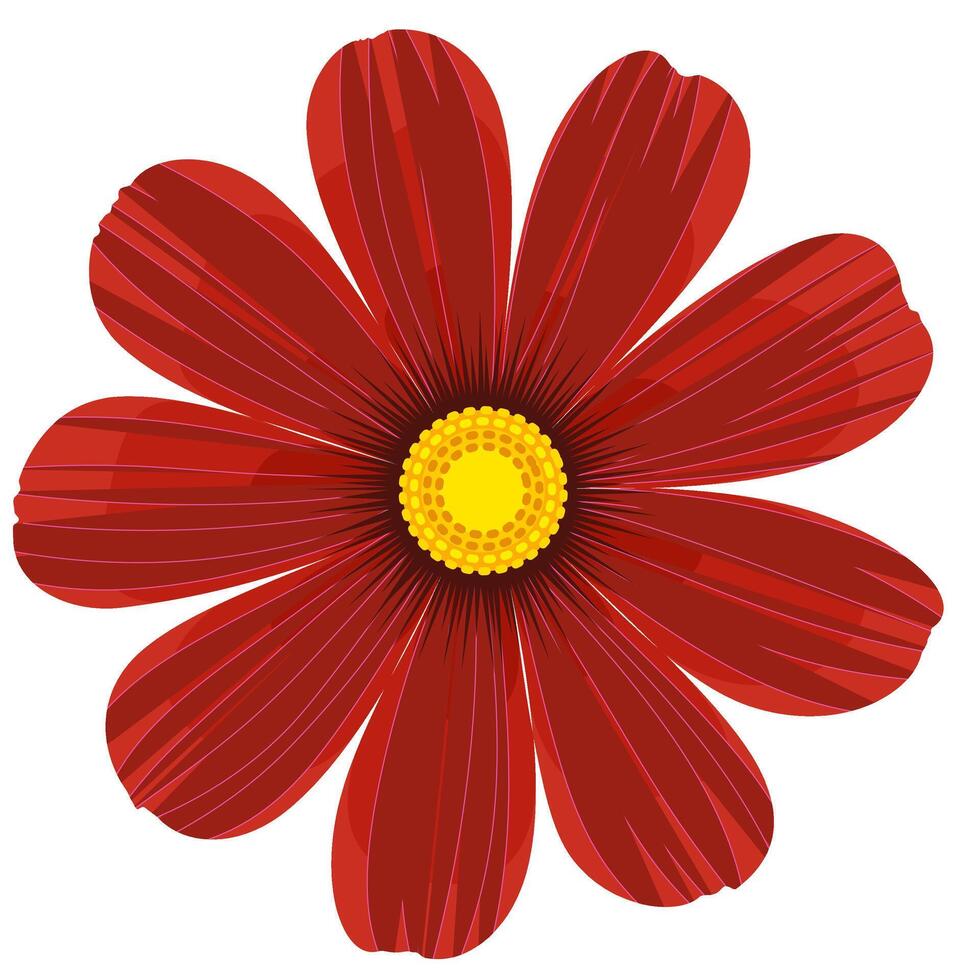 Isolated red cosmos flower clipart. vector