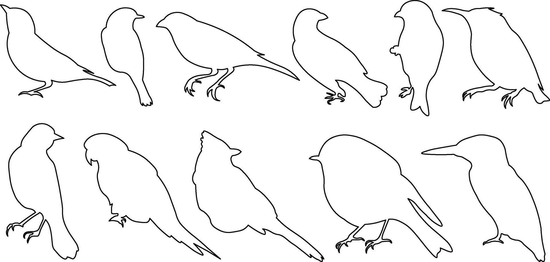 collection of perch rest sit bird avian icon outline stroke bundle hibernate migration collection of perch rest sit bird avian icon outline stroke bundle hibernate migration pack vector