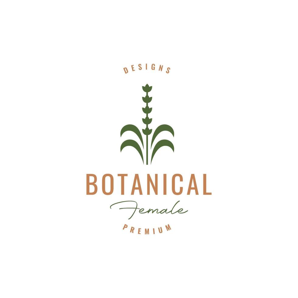 nature botanical plant hipster colorful logo design vector