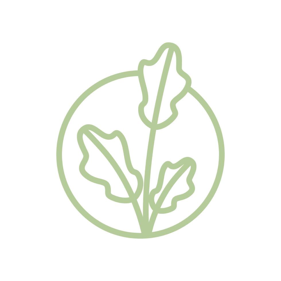 aesthetic leaf circle line minimalist logo design vector