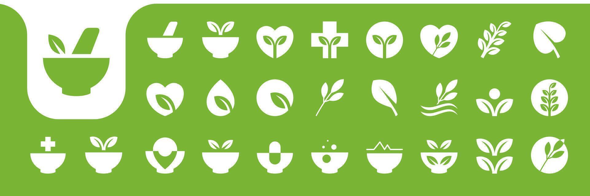 herbal medicine nature flat icon collection design vector