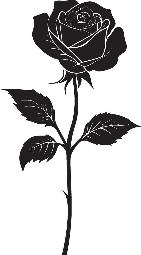 black rose silhouette on white background rose vector