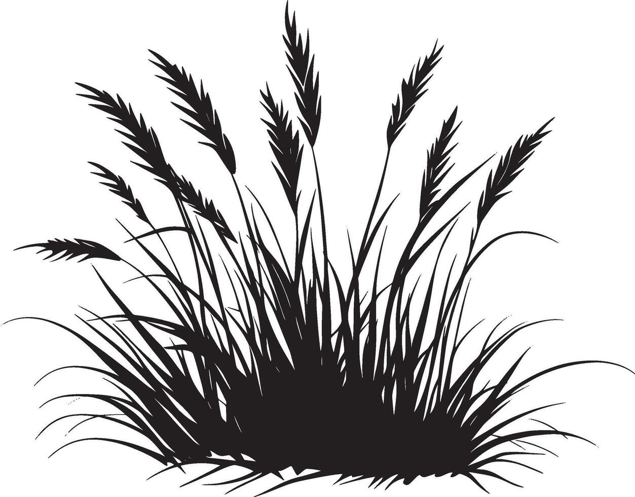 silhouette of grass on a white background vector