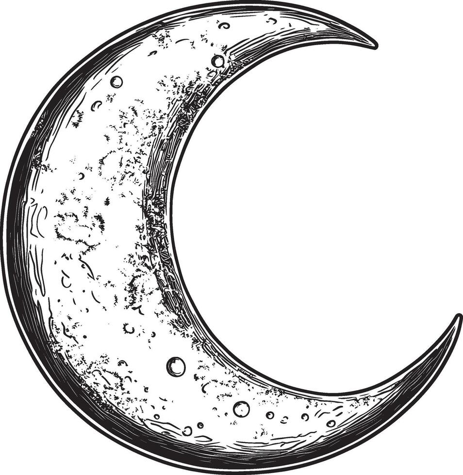 a black and white drawing of a crescent with water droplets vector