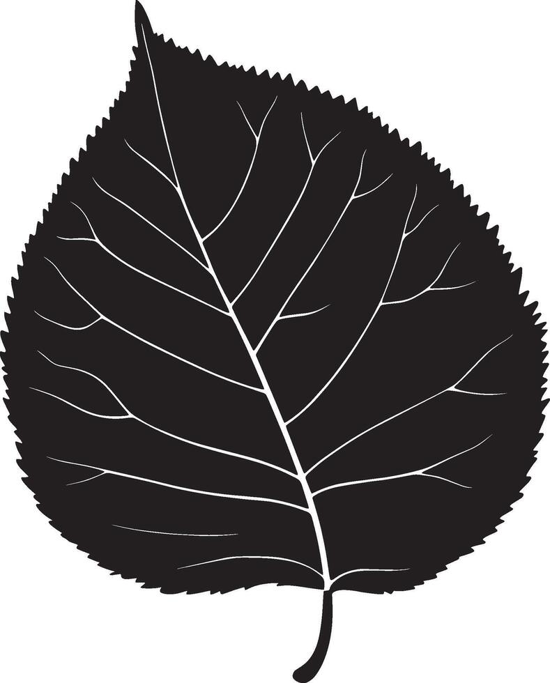 black and white illustration of a leaf vector