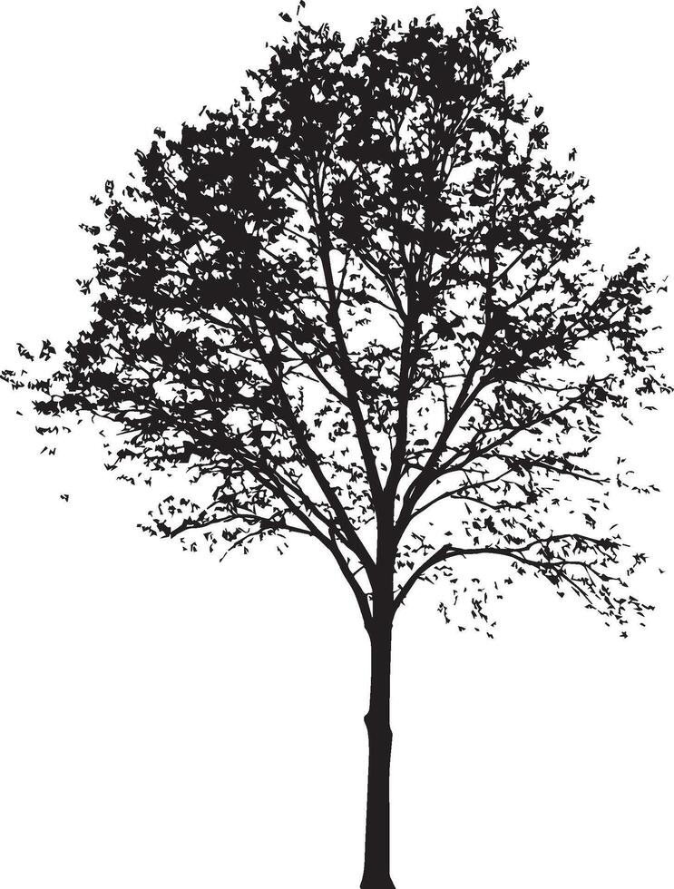 a black and white silhouette of a tree vector