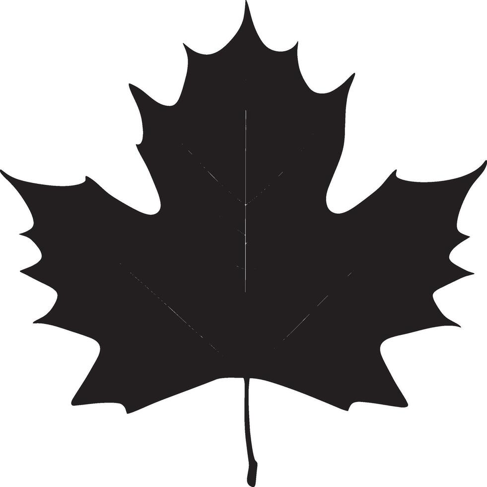a black and white maple leaf on a white background vector