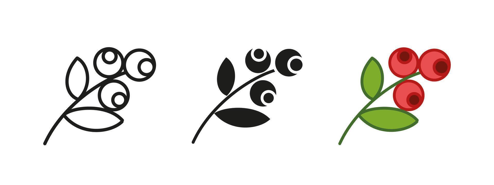 Berry branch twig icon. Natural plant illustration. Organic fruit symbol. Autumn garden sign. Wild botanical concept. Herbal decorative graphic. Cranberry branch pictogram. Red currant twig. vector