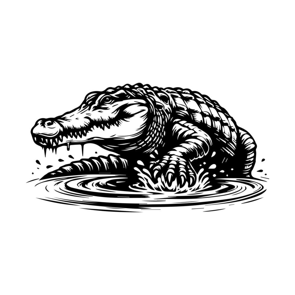 Alligator in water illustration vector