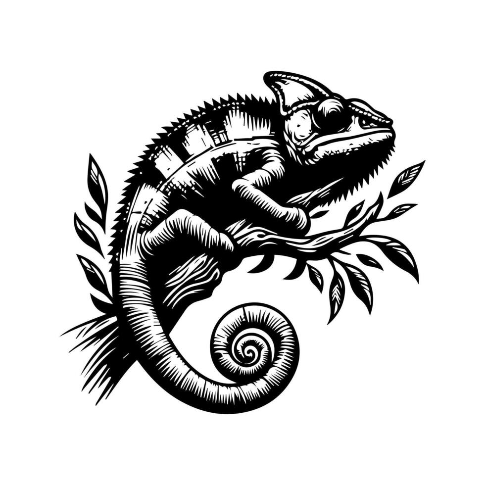 Chameleon on branch illustration vector