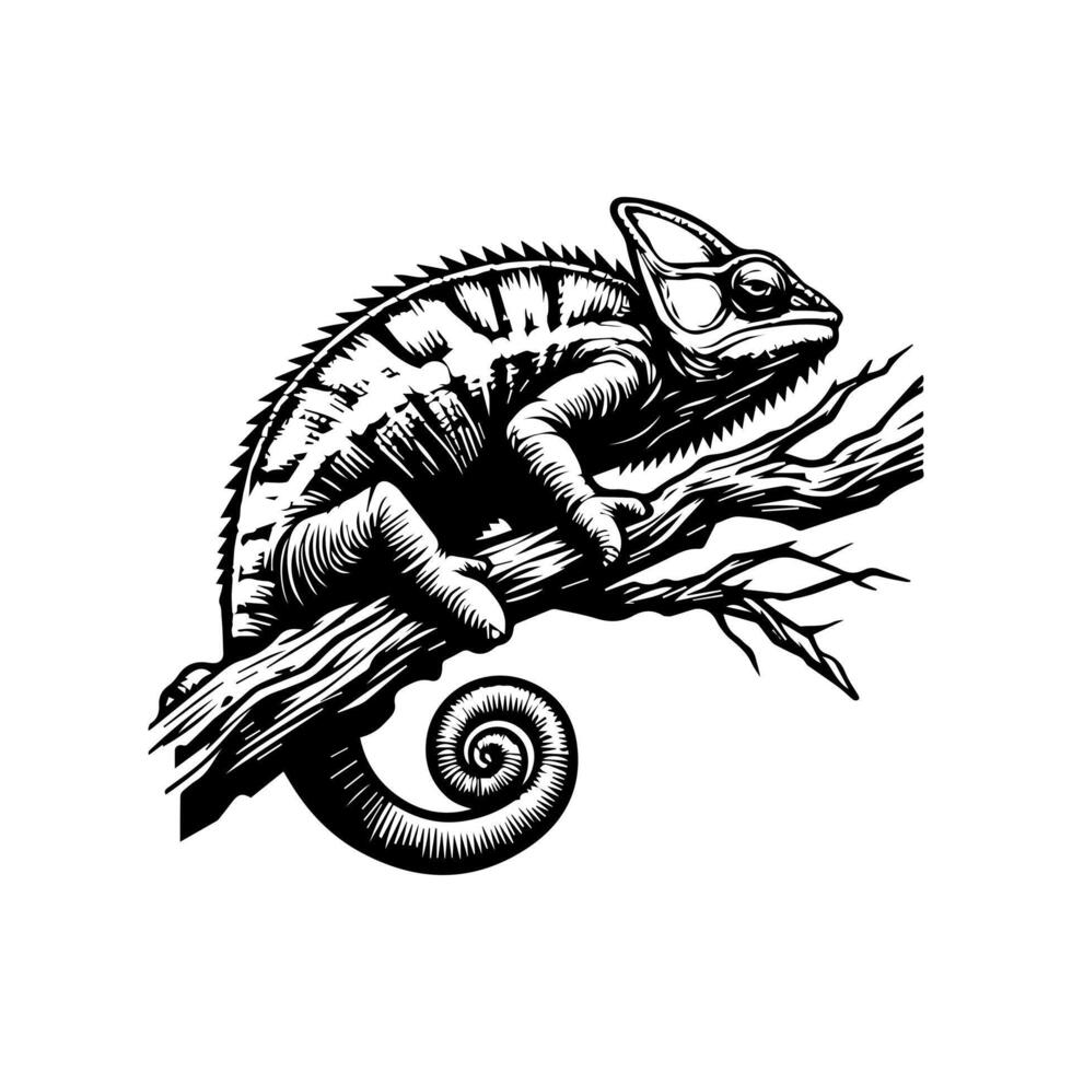 Chameleon on a branch illustration vector