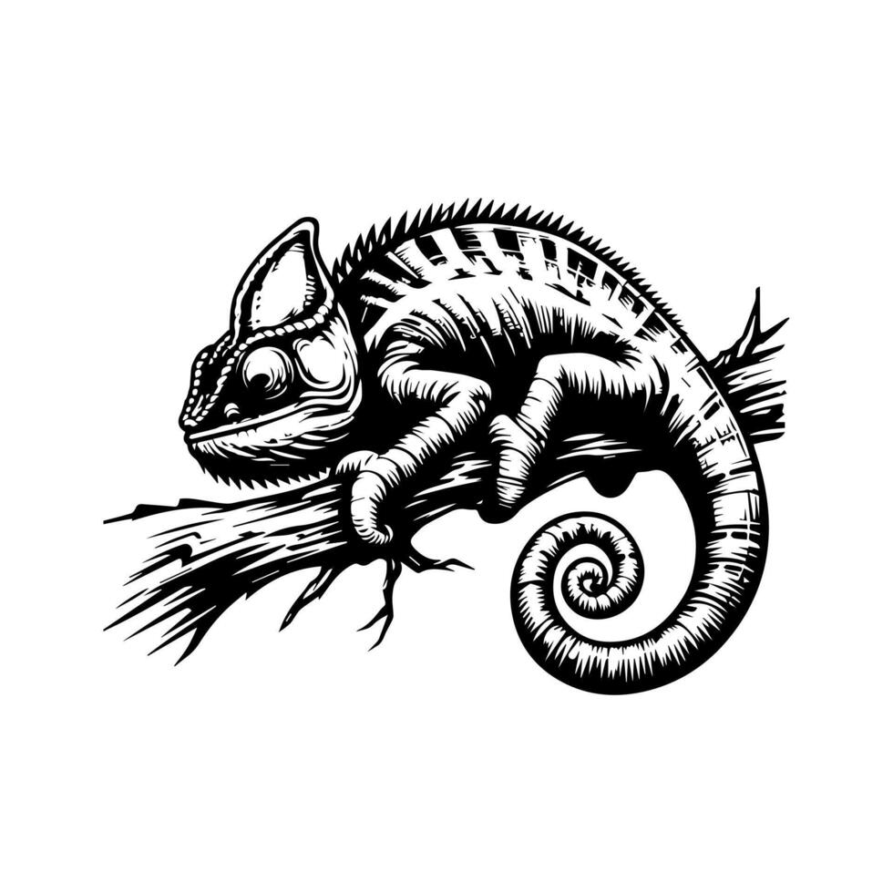 Chameleon on branch vector