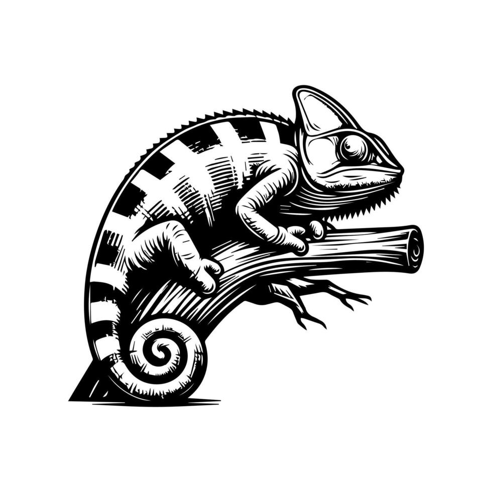 Chameleon lizard on branch illustration vector