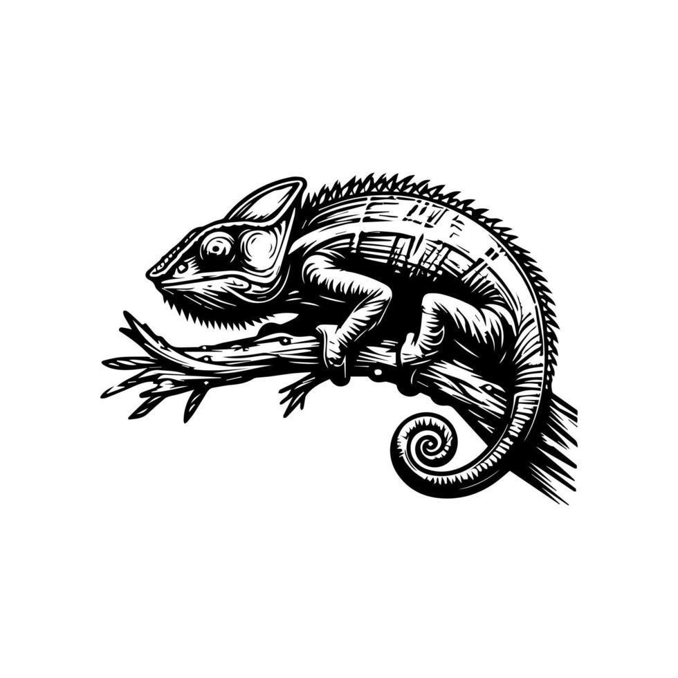 Chameleon on a branch vector