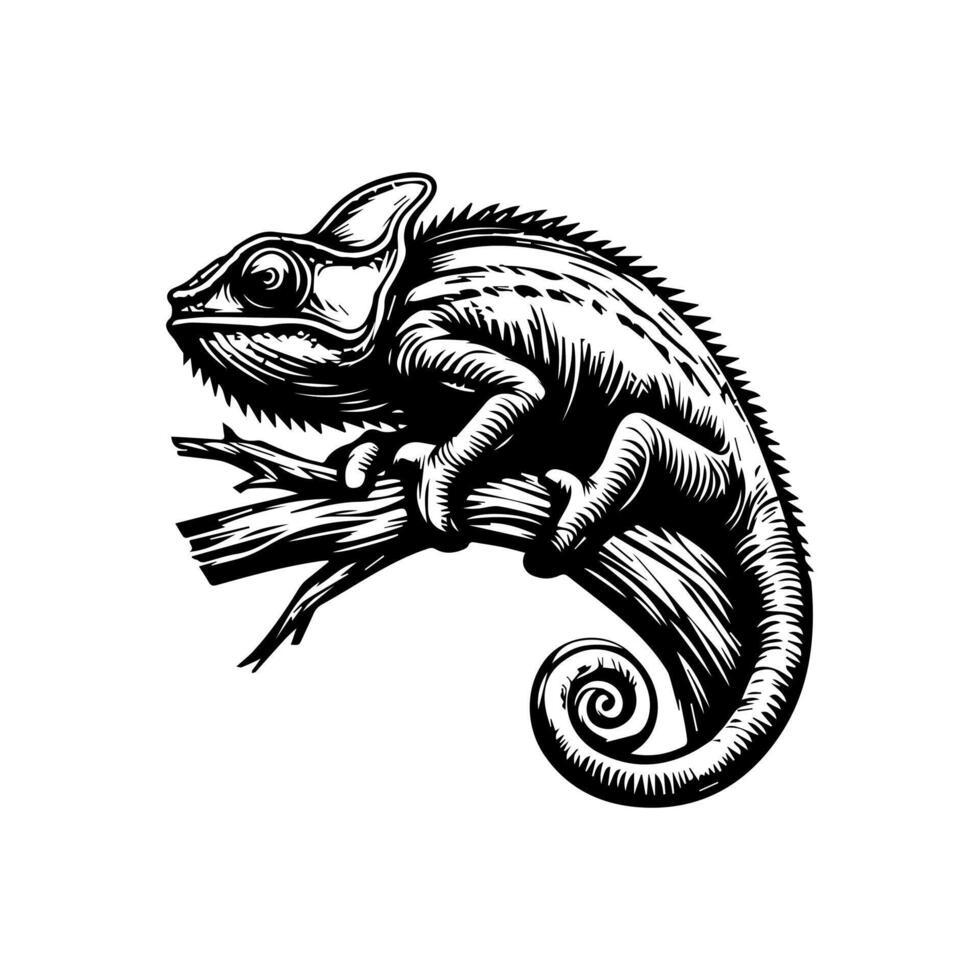 Chameleon on branch illustration vector