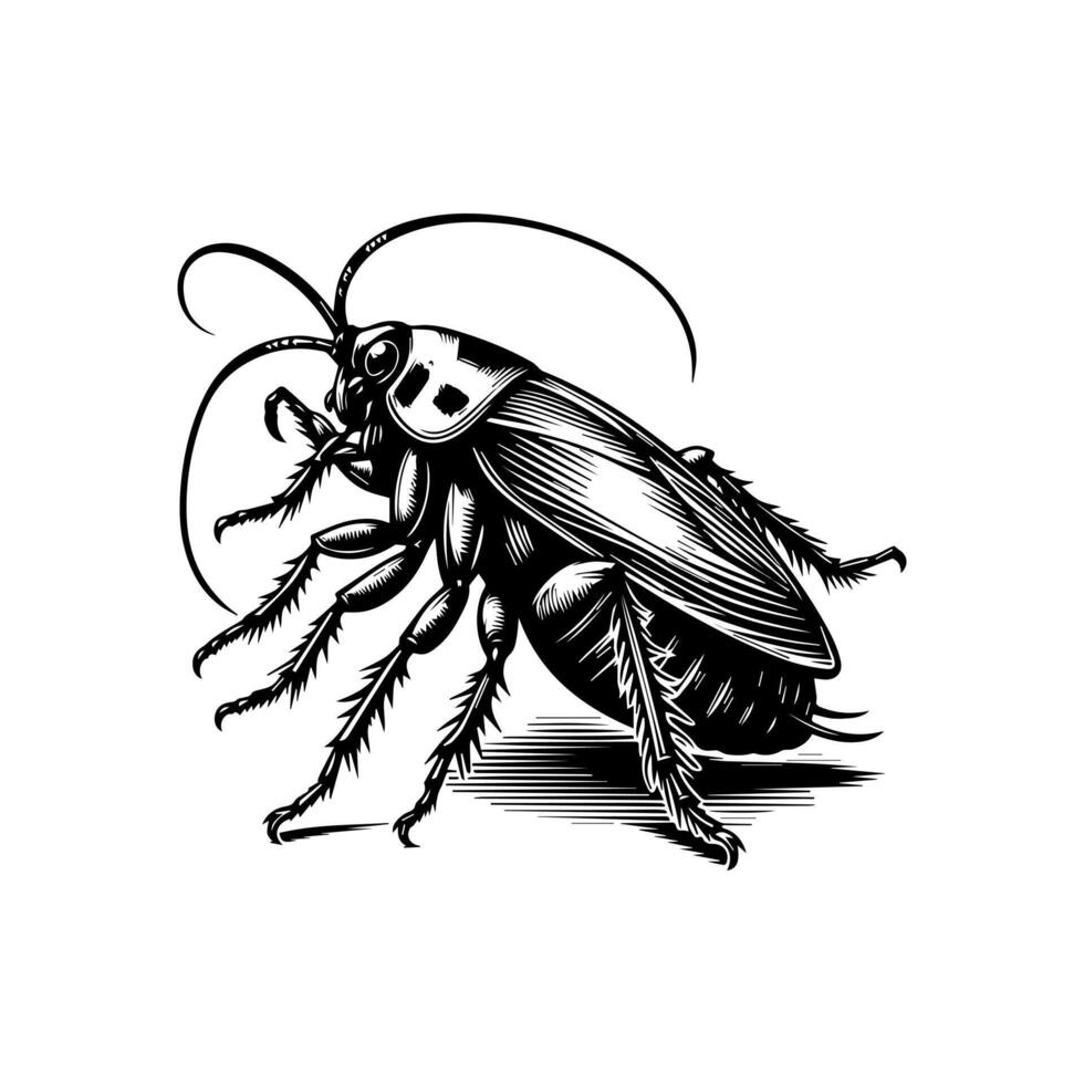 Cockroach logo by jimmy the roach vector