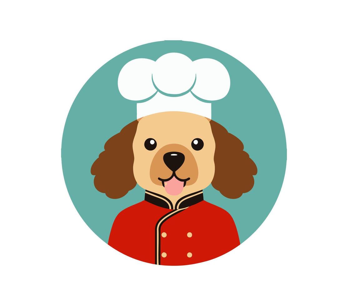 Poodle in a chef costume vector