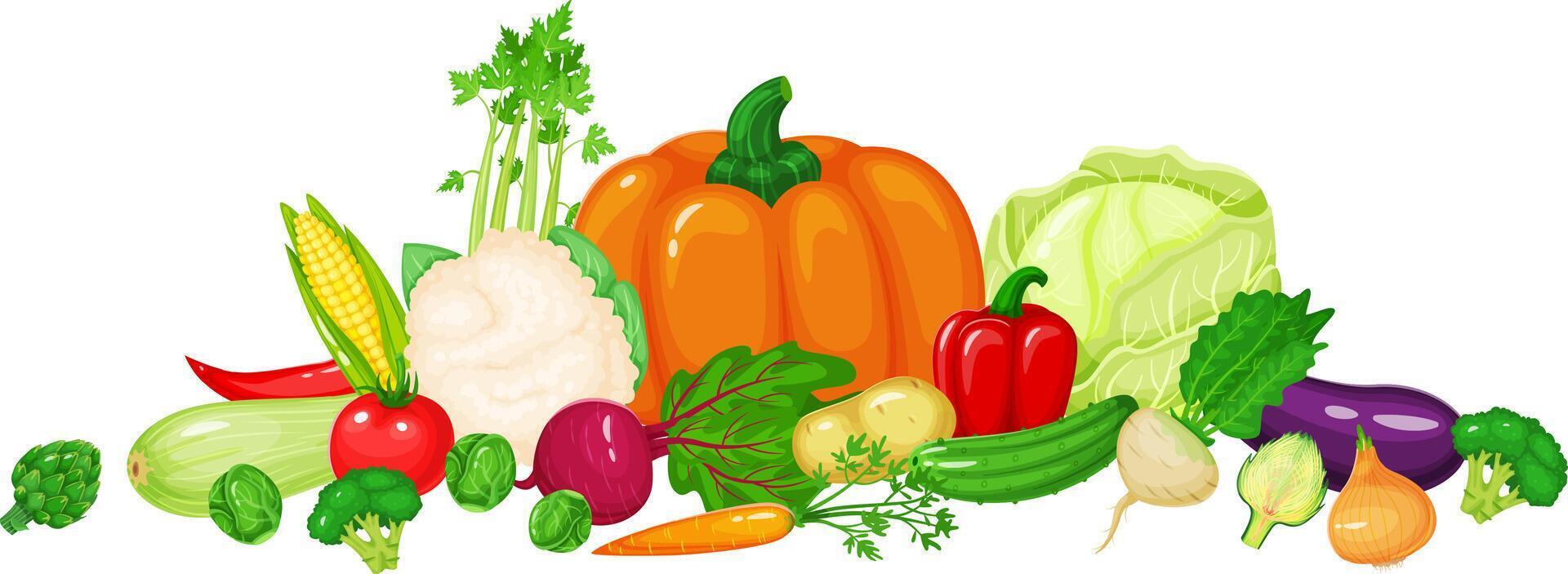 Colorful array of fresh, raw vegetables including pumpkin, cabbage, cauliflower, eggplant, zucchini, corn, and other seasonal produce arranged on white background vector