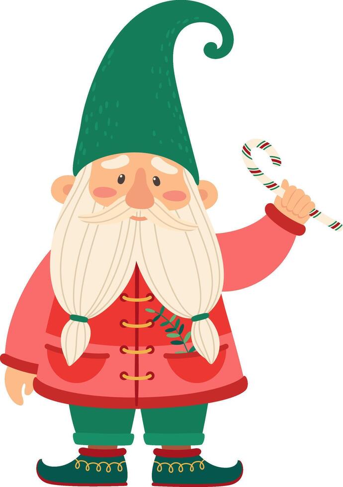 Cute christmas gnome wearing traditional red coat and green hat, holding a candy cane with a mistletoe leaf in his pocket, isolated on white background vector