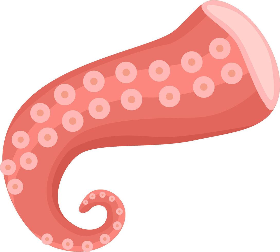 Cartoon illustration of a pink octopus tentacle curling on a white background, showing suction cups, creating a simple yet captivating image vector
