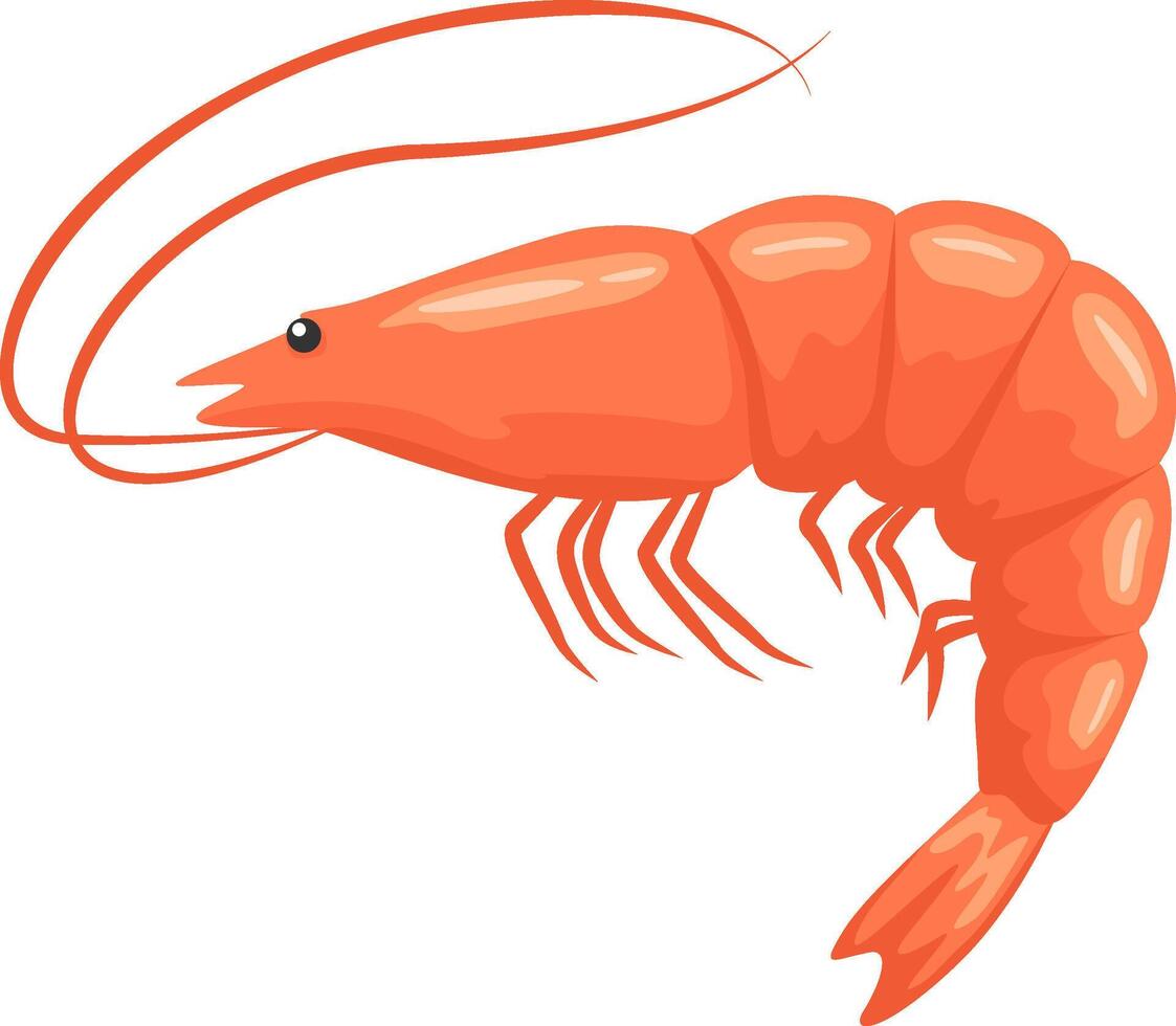 Cartoon illustration of a single orange cooked shrimp with long antennae, isolated on a white background, representing seafood, healthy eating, and marine life vector