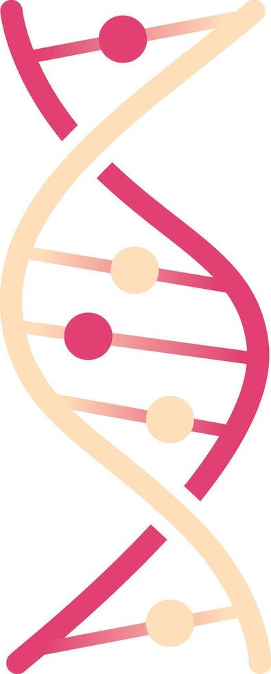 Colorful illustration of a DNA double helix rotating, revealing the genetic code with pink and beige colors, ideal for medical and scientific publications vector