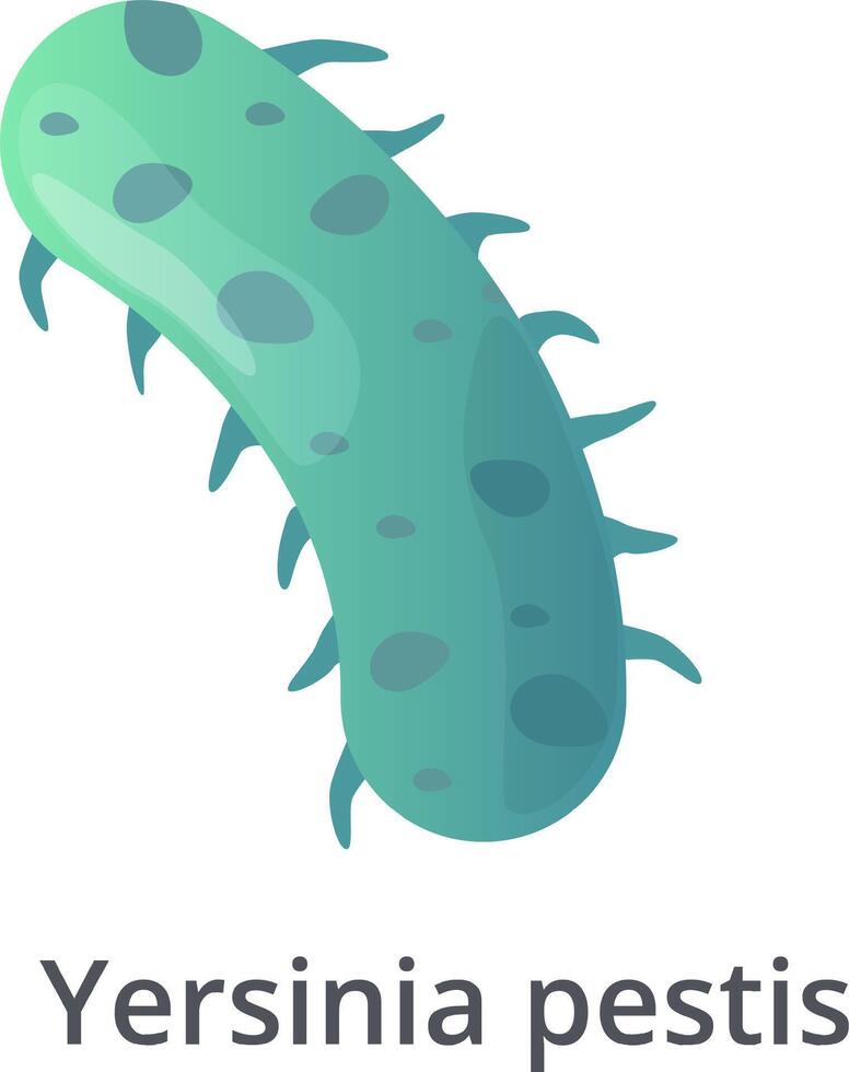 Yersinia pestis bacteria, a gram negative, rod shaped coccobacillus, a facultative anaerobic organism that can infect humans and animals, is responsible for the infamous bubonic plague vector