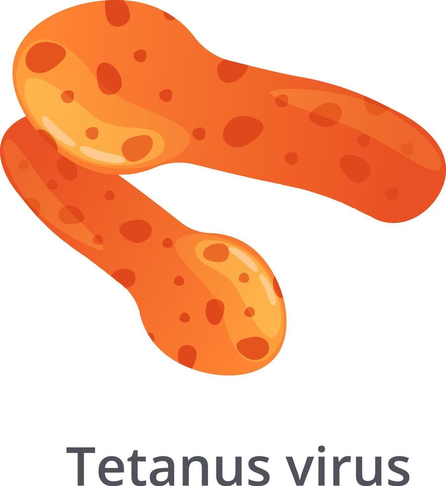 Clostridium tetani bacteria, commonly found in soil, dust, and animal feces, are responsible for causing tetanus, a serious bacterial infection affecting the nervous system vector