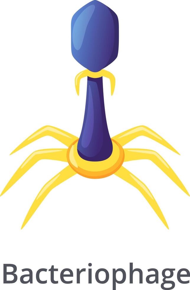 Illustration of a bacteriophage, a virus that infects and replicates within bacteria, featuring a blue head and yellow legs, highlighting its role in controlling bacterial populations vector