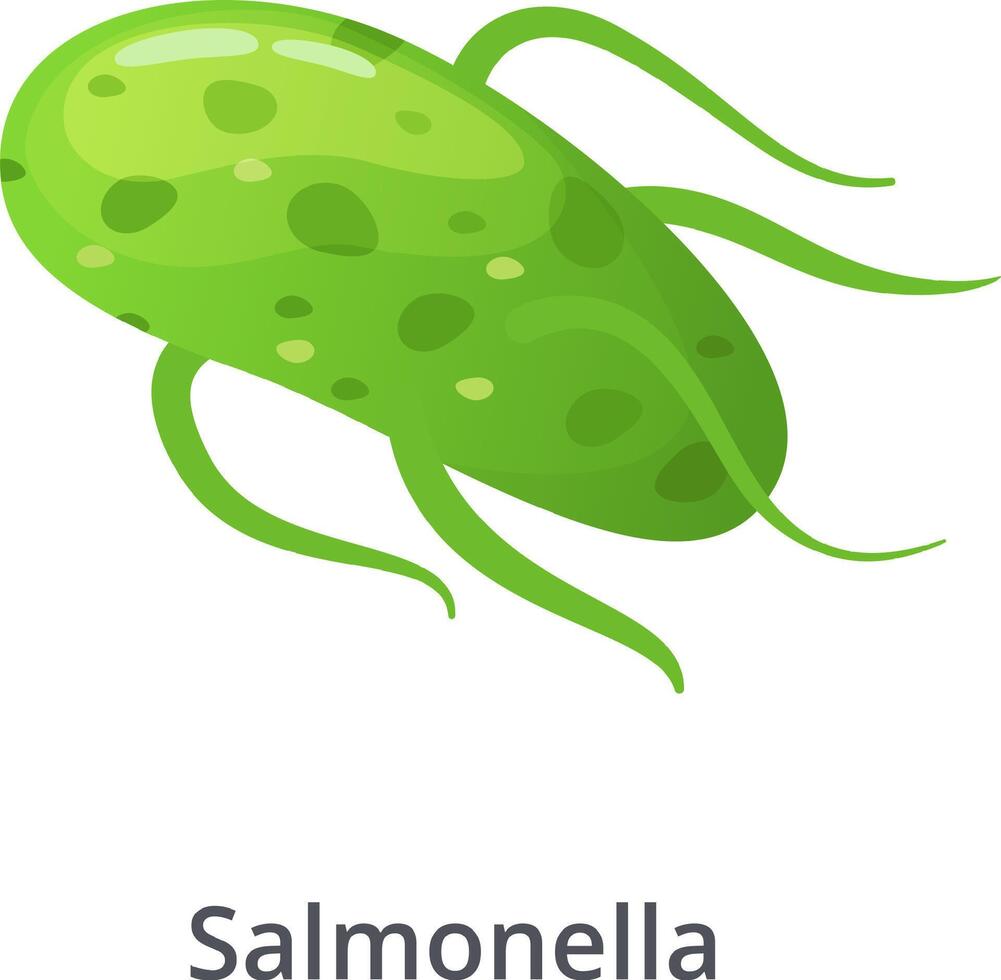 Salmonella bacteria, a common cause of food poisoning, is depicted moving with its flagella, highlighting its motility and potential to spread infection vector