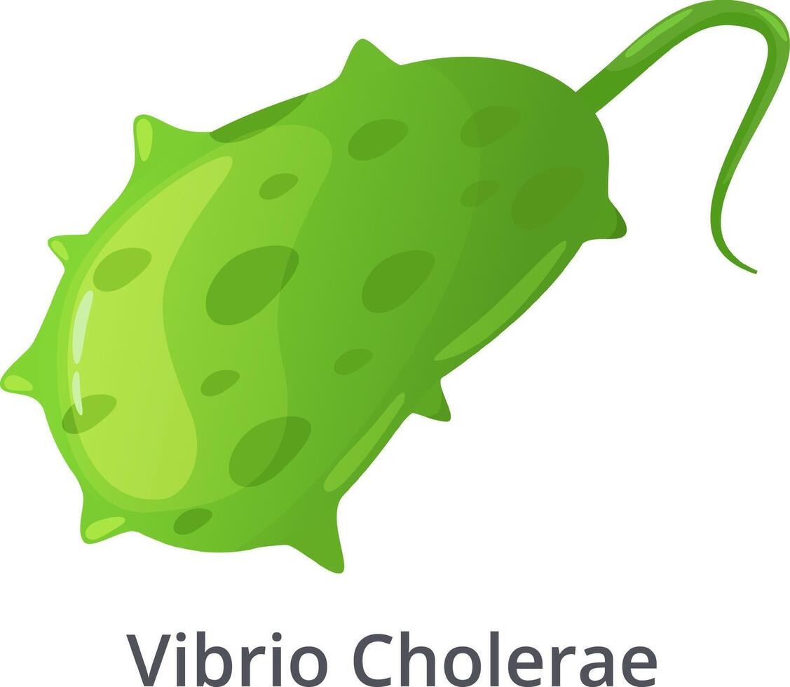 Vibrio Cholerae bacteria, responsible for the infectious disease cholera, is depicted moving with its flagellum, highlighting its motility and role in spreading the illness vector