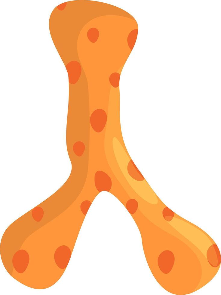 Cartoon illustration of an orange chromosome dividing during the mitosis process, showing the separation of genetic material into two identical daughter cells vector