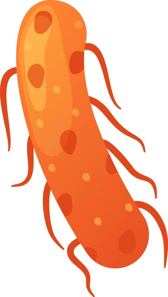 Salmonella enterica bacteria, a common foodborne pathogen, displays its flagella used for movement and pili for adhesion, highlighting its role in causing infections vector