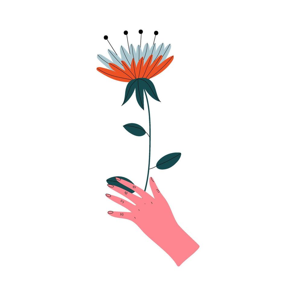Female Hand Holding Beautiful Blooming Flower, Elegant Decorative Floral Design Element Illustration vector