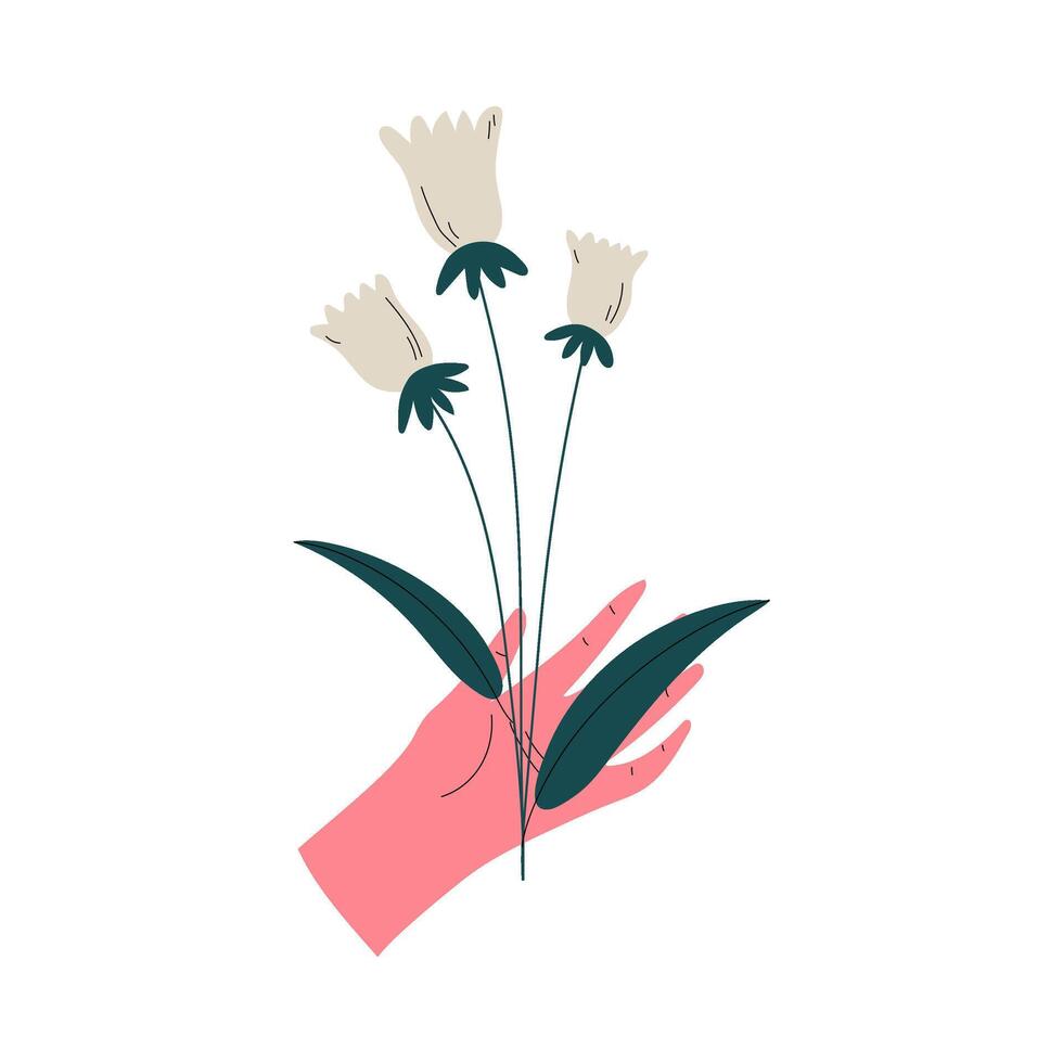 Female Hand Holding Bouquet of White Flowers, Elegant Decorative Floral Design Element Illustration vector