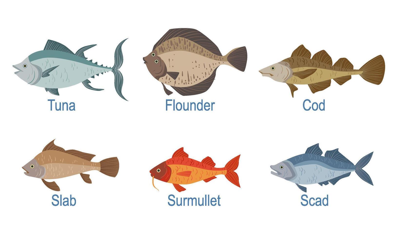 Collection of Fish Species with Name Subscription, Tuna, Cod, Flounder, Slab, Surmullet, Scad Illustration vector