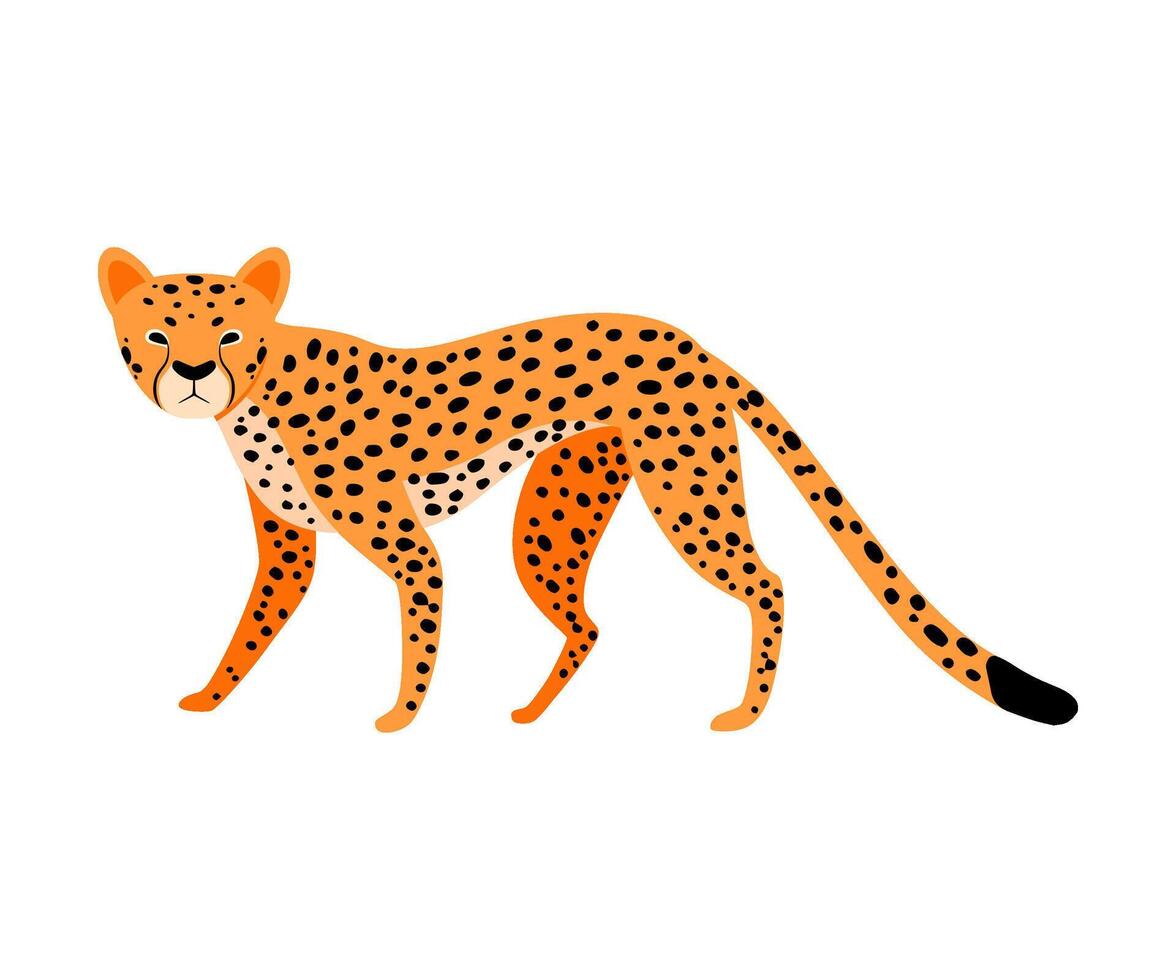 Orange Leopard. illustration on a white background. vector