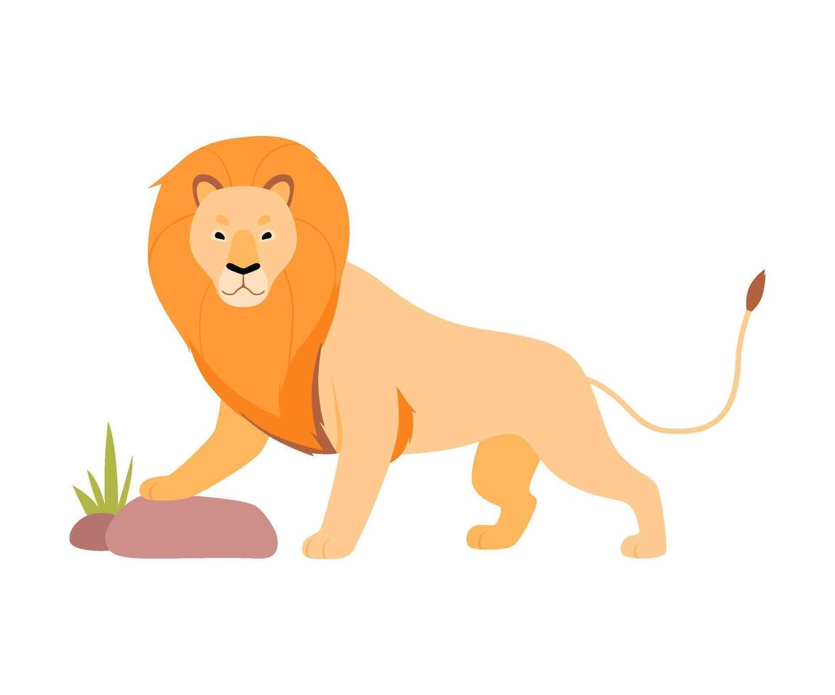 Lion stands near a stone. illustration on a white background. vector