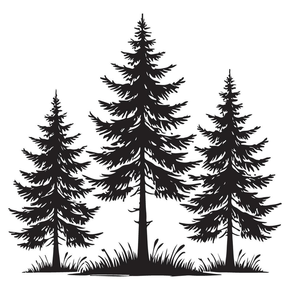 Trio of Elegant Fir Trees Silhouette vector