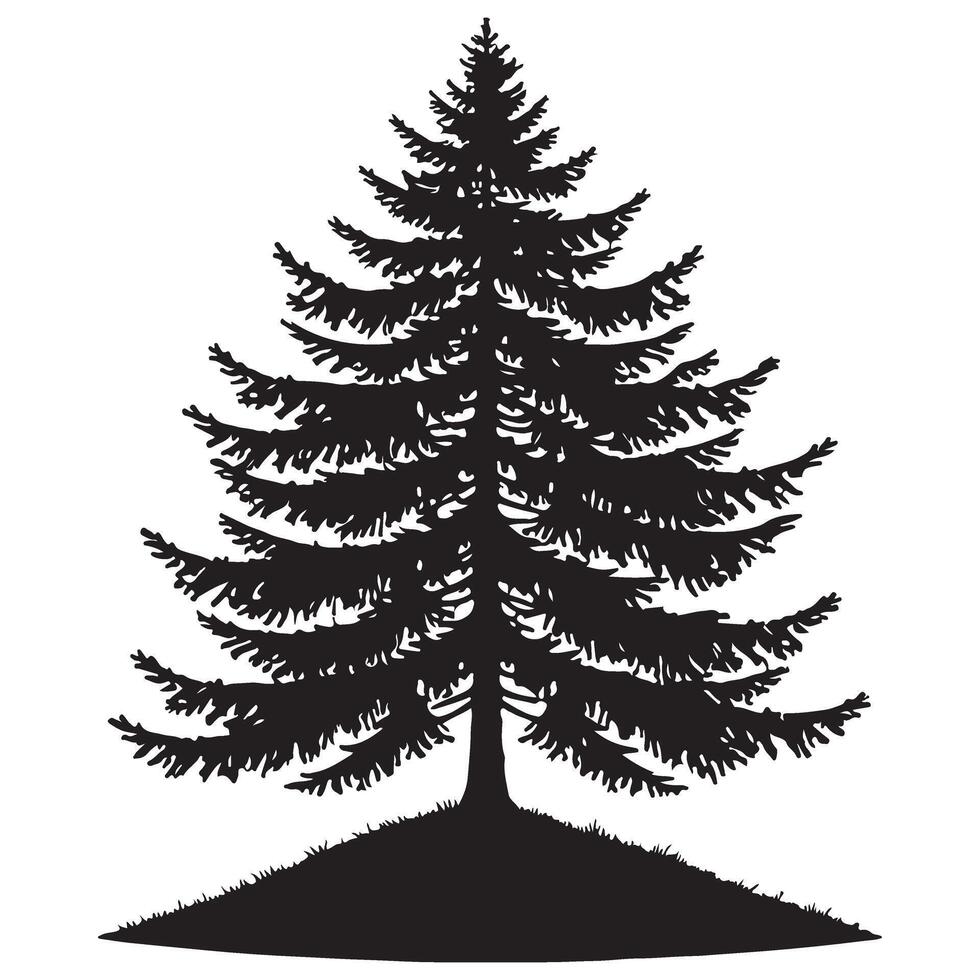 Majestic Silhouette of a Coniferous Tree vector