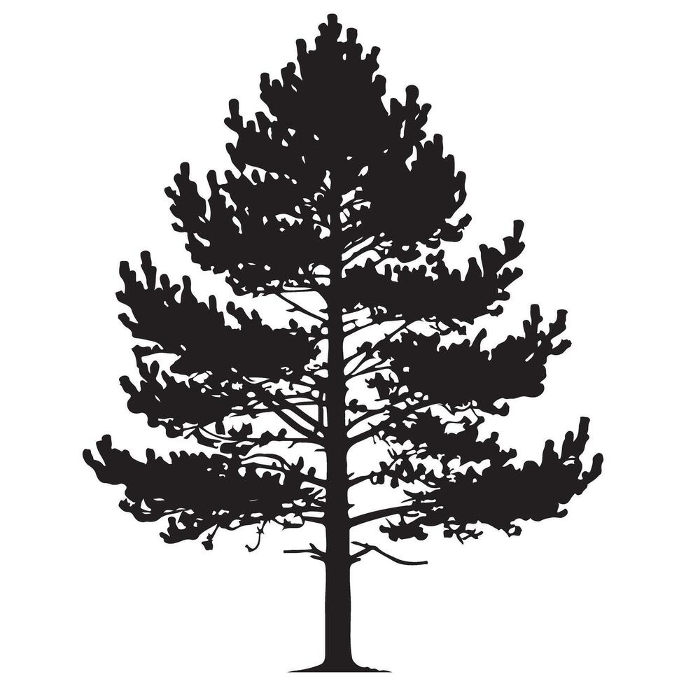Detailed Silhouette of a Pine Tree vector