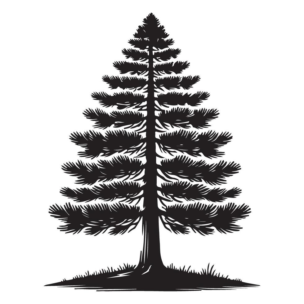 Majestic Silhouette of a Pine Tree Illustration vector