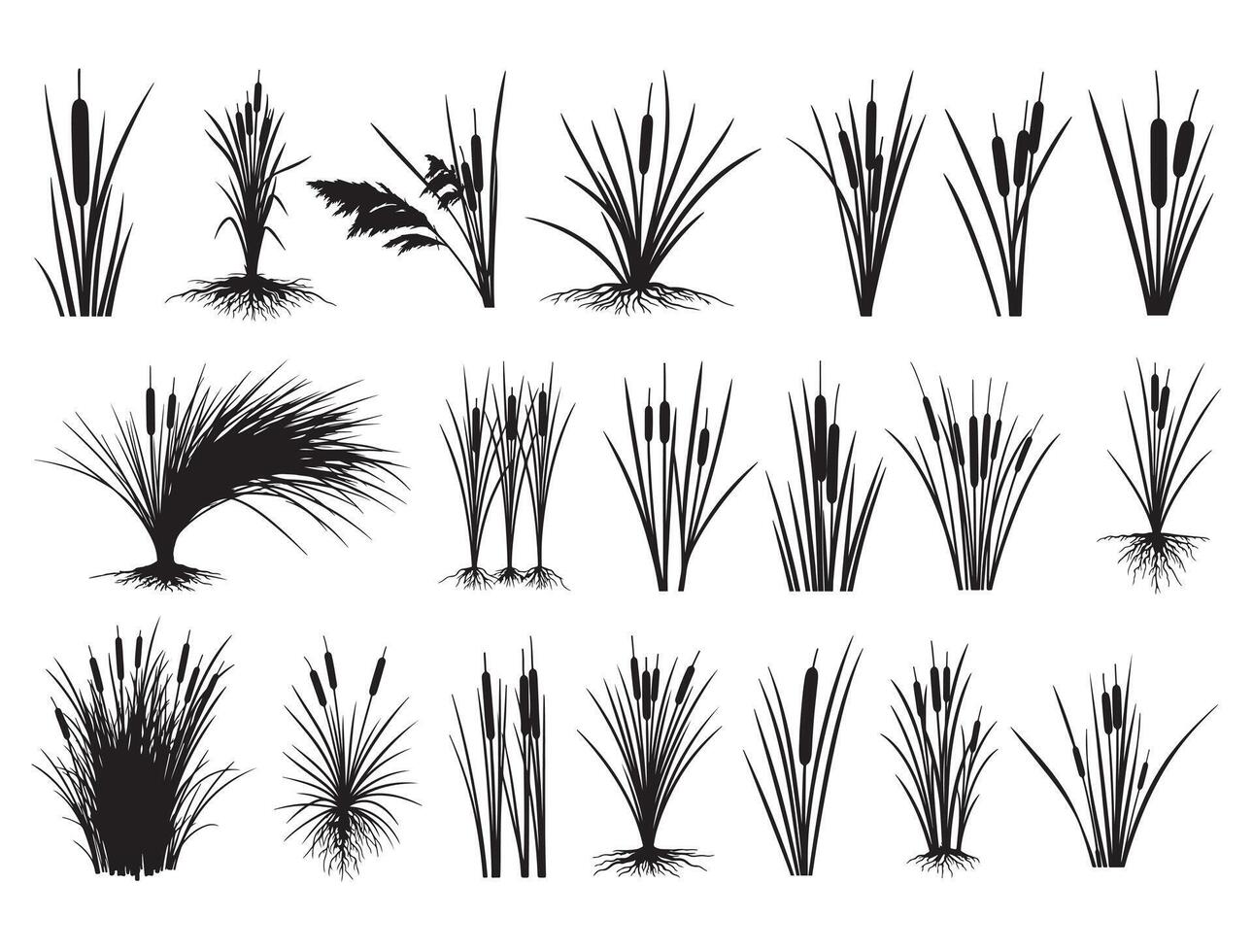 Cattail silhouette white background vector